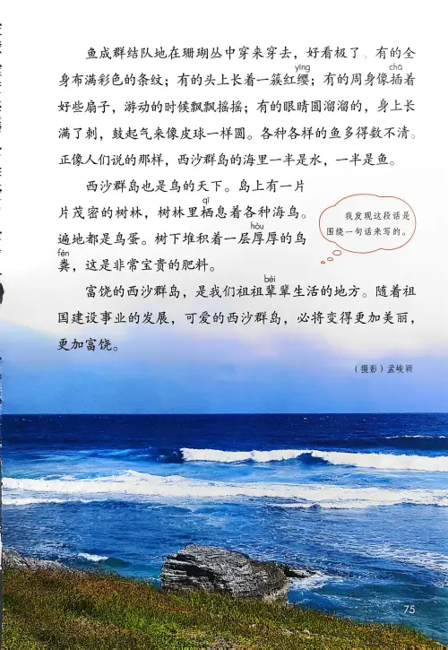 图片[77]-三年级语文上册20242025新版-黑马库