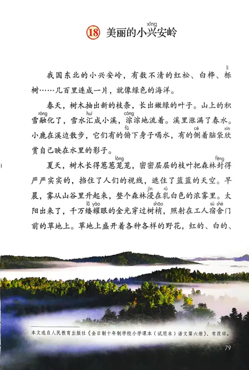 图片[81]-三年级语文上册20242025新版-黑马库