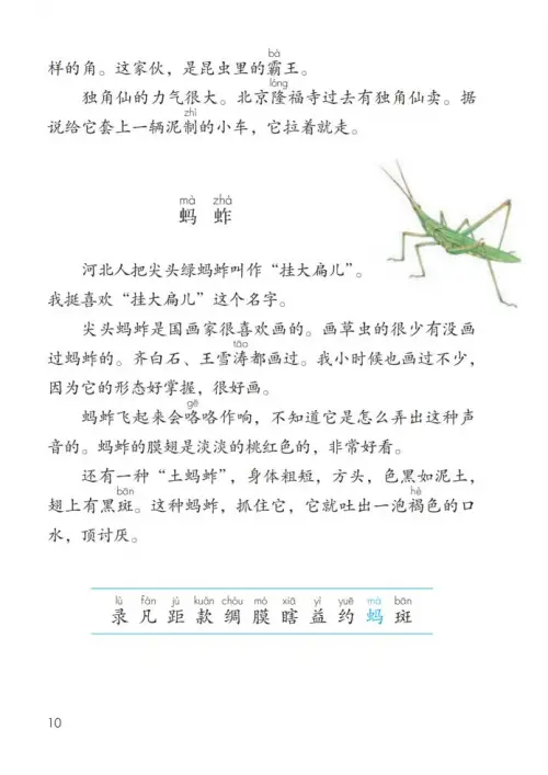图片[15]-三年级语文下册-黑马库