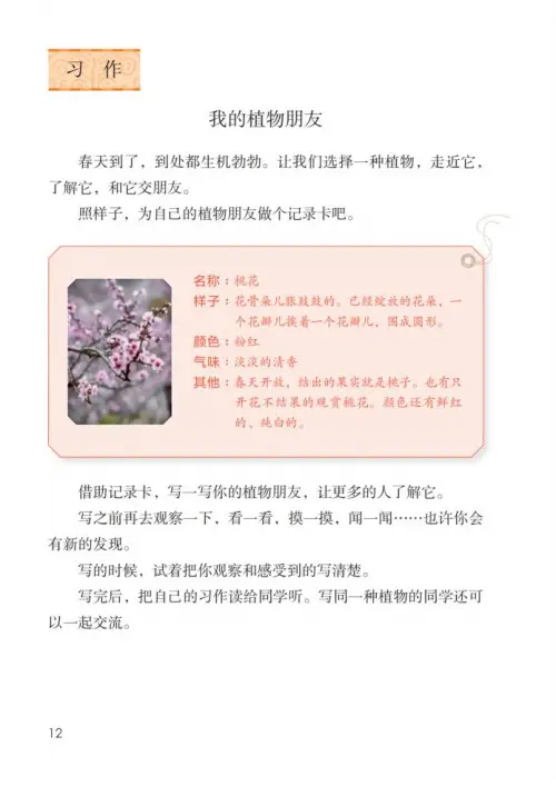 图片[17]-三年级语文下册-黑马库