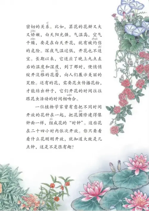 图片[54]-三年级语文下册-黑马库