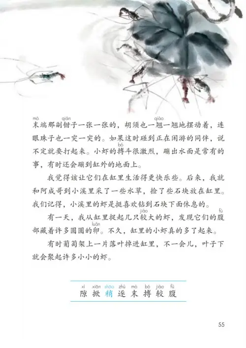 图片[60]-三年级语文下册-黑马库
