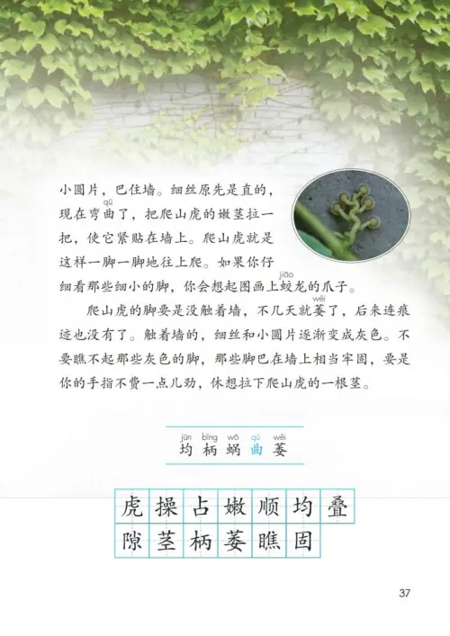图片[42]-四年级语文上册-黑马库