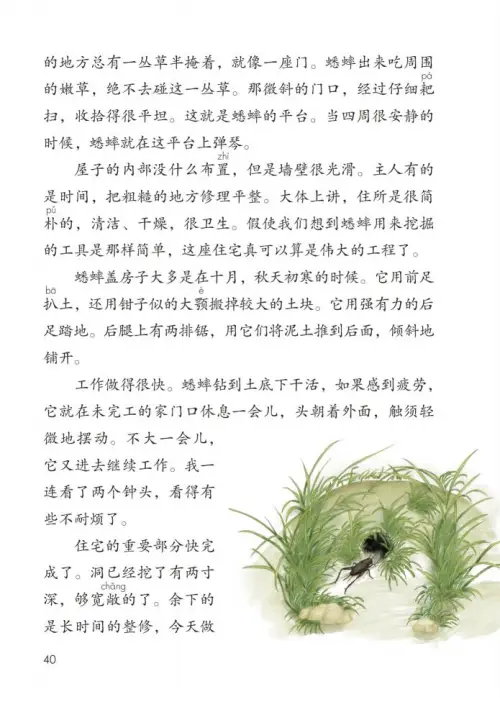 图片[45]-四年级语文上册-黑马库