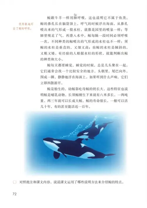 图片[77]-五年级语文上册-黑马库