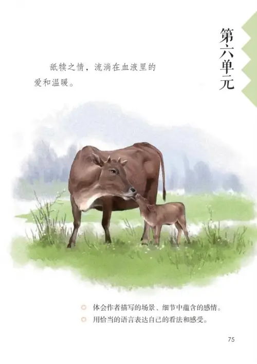 图片[80]-五年级语文上册-黑马库